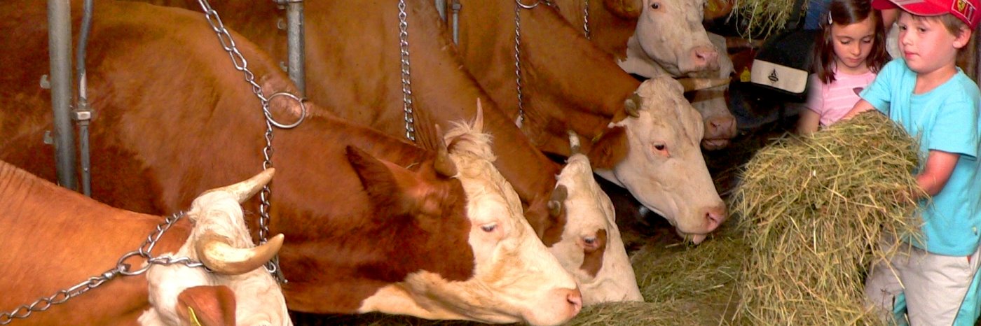 Tiere am Bauernhof in Bayern Bauernhoftiere in Deutschland Streicheltiere