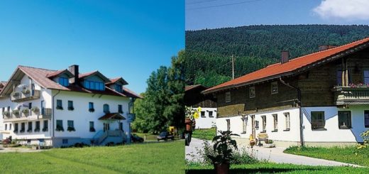 forellenpension-achslach-ferienwohnungen-ferienhaus-hauptansicht