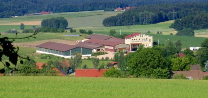 fuchsenhof-reiterhof-oberpfalz-reitschule-bayern-reiterferien