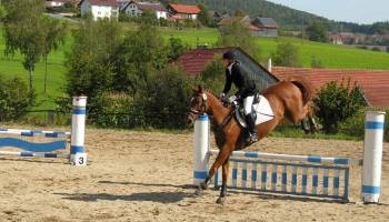 Unterricht im Springreiten und Pferde Dressur in der Oberpfalz