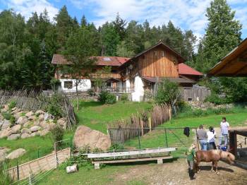 urige Berghütte Selbstversorger Almhütte Nähe Arber, Pröller, Geißkopf Falkenstein, Predigtstuhl