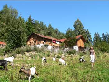 Hüttenurlaub Bayerischer Wald