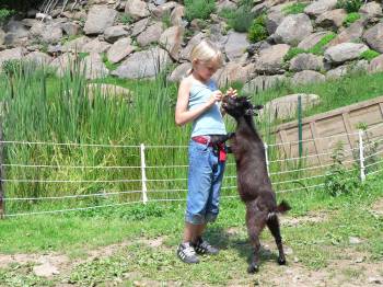 gruber-ferienhütten-familienurlaub-bayern-bayerwald