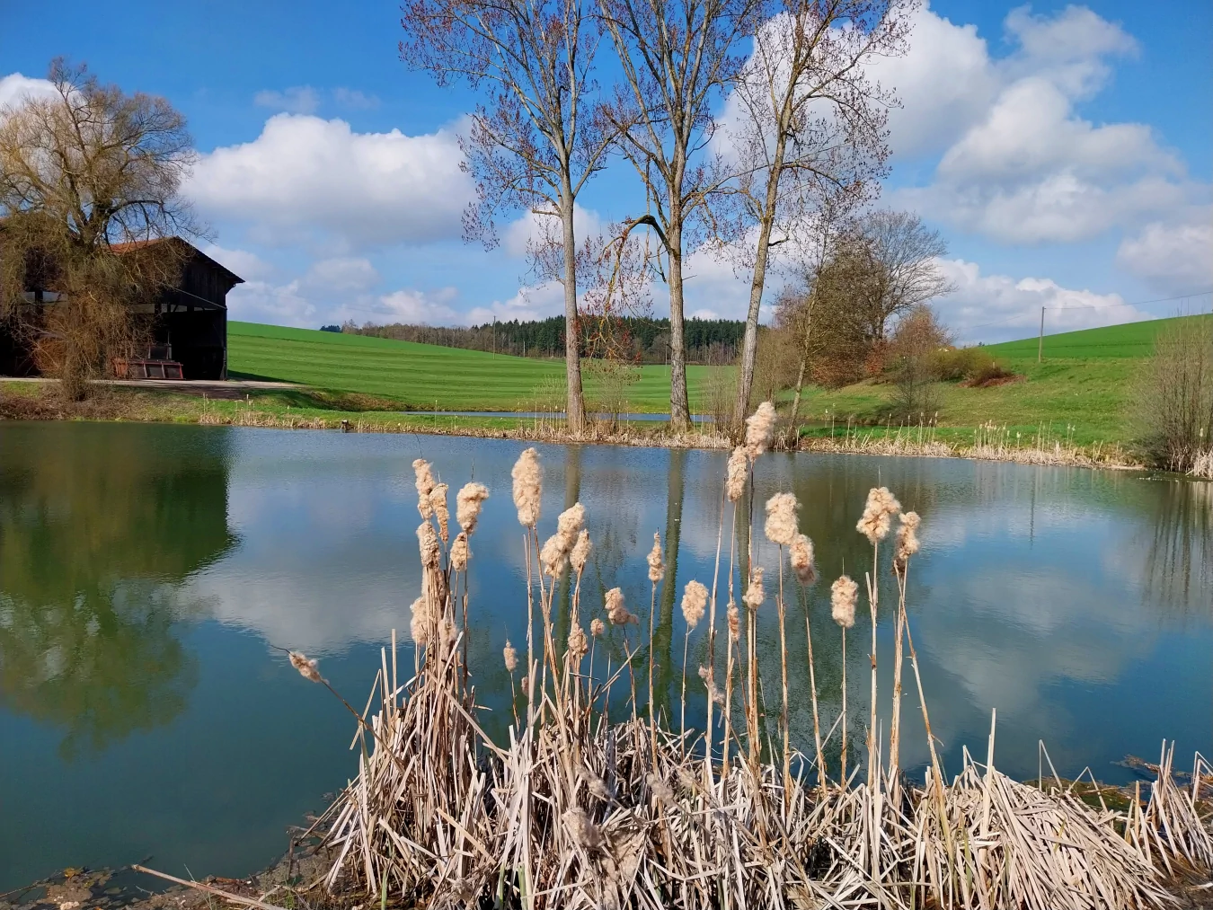 gschwandnerhof-bauernhof-natur-badeteich-1350