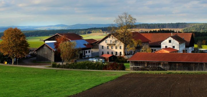 guthof-bayerischer-wald-erlebnisbauernhof-bayern-familienurlaub-hofansicht