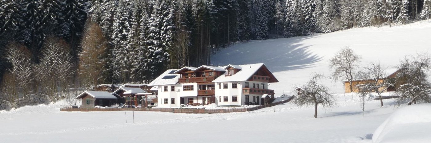 Pension im Skigebiet Bayerischer Wald nähe Arber und Geißkopf