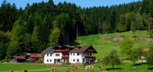 hacker-kinderfreundliche-bergpension-bayerischer-wald-familienpension-breitbild-1400