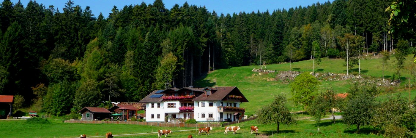 hacker-kinderfreundliche-bergpension-bayerischer-wald-familienpension-breitbild-1400