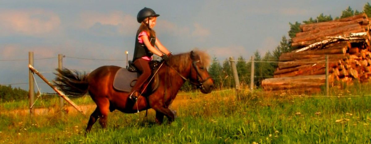 Bayerischer Wald Familienhotel mit Reiten für Kinder, Jugendliche & Erwachsene