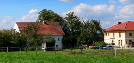 handlhof-familienfreundlicher-kinderbauernhof-bayern