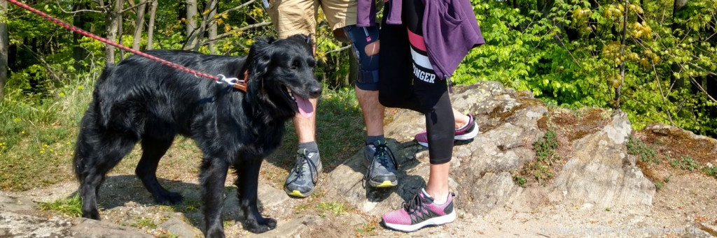 Bayerischer Wald Urlaub mit Hund und Haustier in Bayern