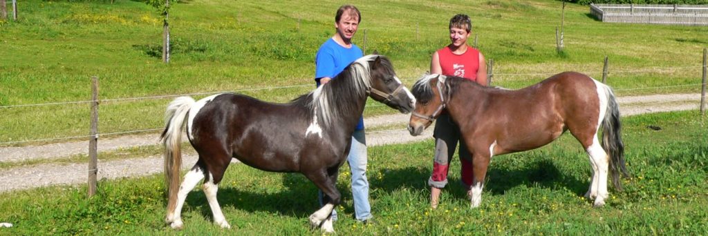 Bayerischer Wald Ponyreiten für Kinder Reiterferien in Bayern