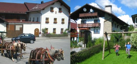 kroner-familienbauernhof-bayern-pferde-reiten