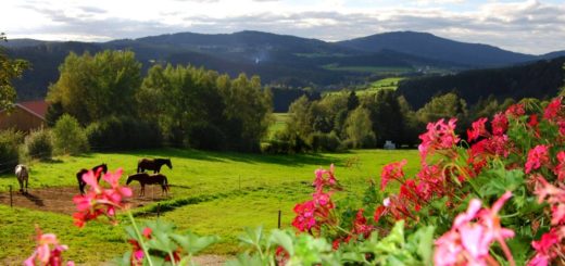 kroner-familienferien-bauernhofurlaub-bayerischer-wald-landschaft