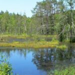 Wandern und Unterkünfte Oberpfälzer Wald