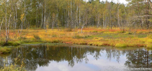 ausflugsziel kulzer-moos-prackendorfer-moor-wandern-oberpfalz