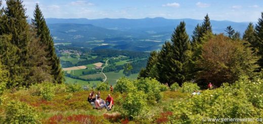 kurzurlaub-bayerischer-wald-wanderurlaub-familienurlaub