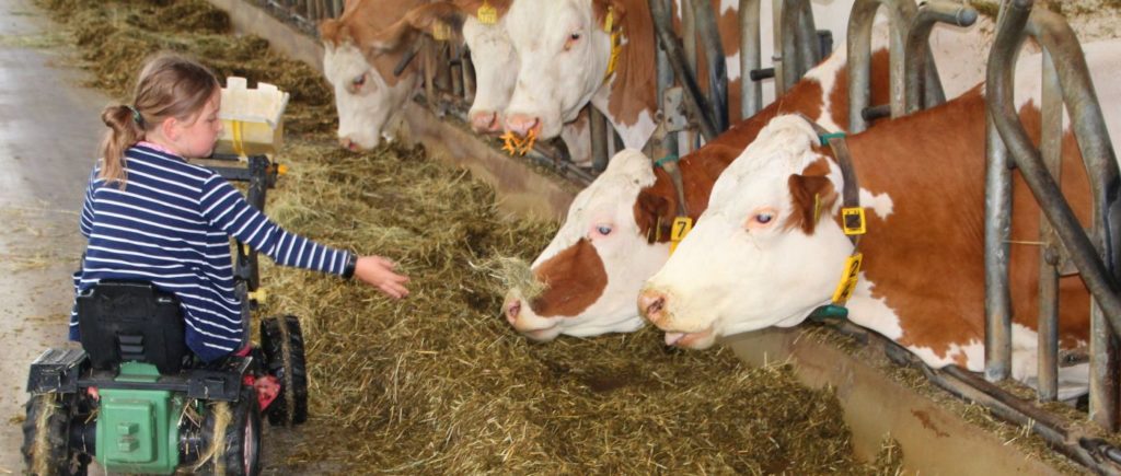 Kinderlandhof Abenteuerferien in Bayern Kinderland Gastgeber Lasserhof Deutschland