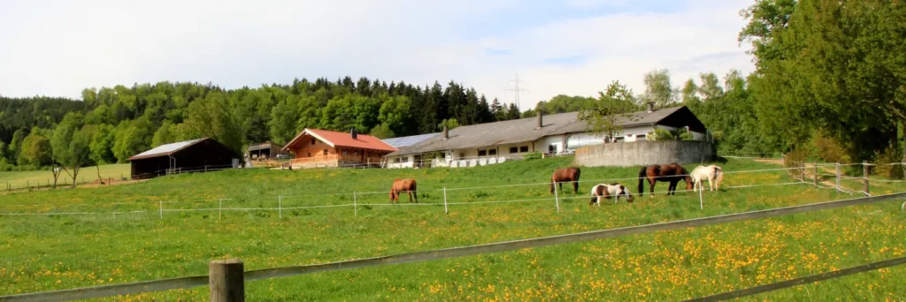 laumertal-ferienwohnung-chalet-blockaus-ferienhaus-bauernhof