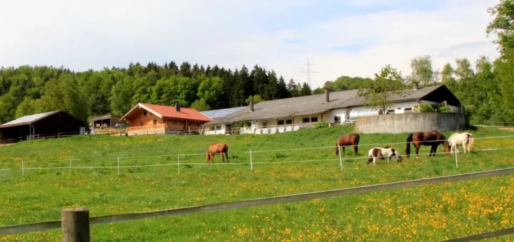 laumertal-ferienwohnung-chalet-blockaus-ferienhaus-bauernhof