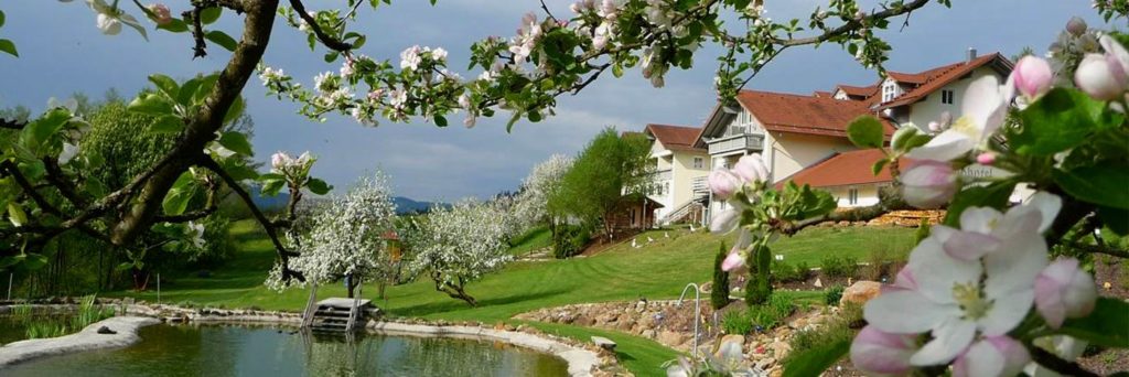 Landhotel in Deutschland Bayern Urlaub im Hotel am See mit Wellness