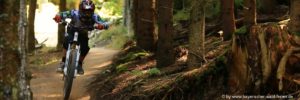 mountainbike-urlaub-bayerischer-wald-bikepark-downhill-rennen