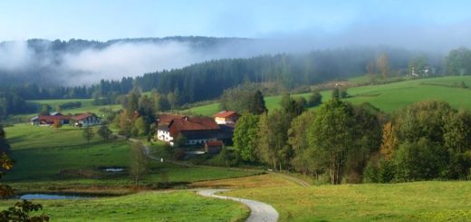 muhr-auerkiel-gasthof-bauernhofurlaub-böbrach-landschaft