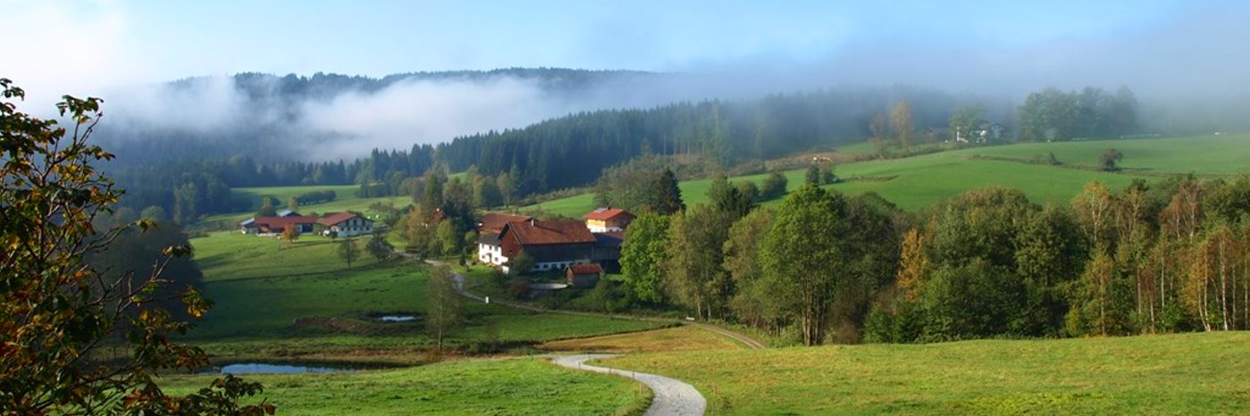 Bayerwald Pension in Böbrach Gasthof bei Bodenmais im Bayerischen Wald