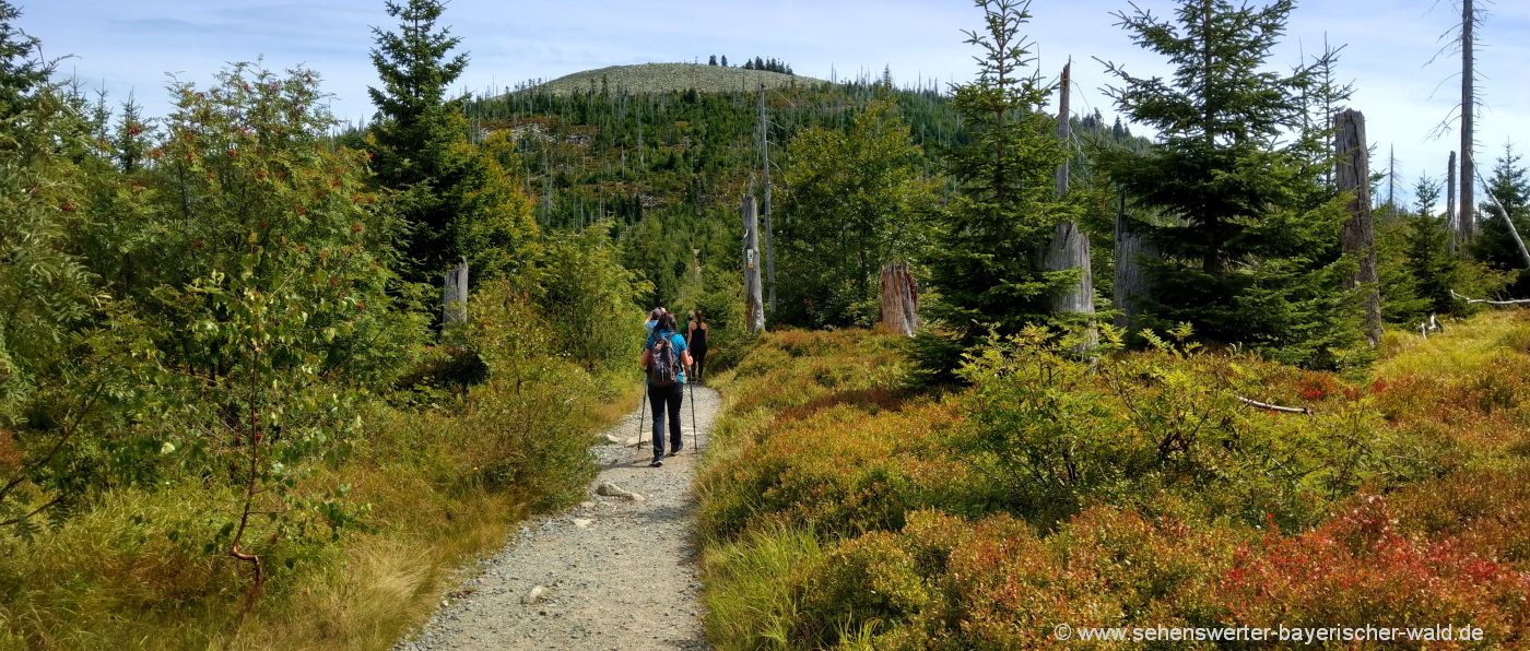 Urlaub am Nationalprak Bayerischer Wald mit Wandern und Ausflüge