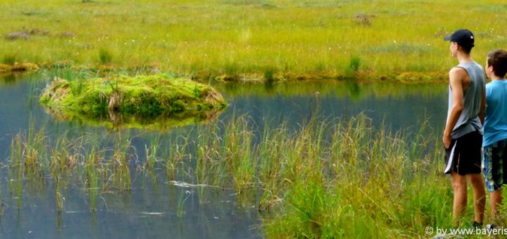 naturschutzgebiete-bayerischer-waldkleiner-arbersee-attraktionen-schwimmende-inseln