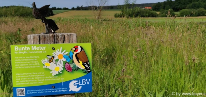 Natururlaub Bayerischer Wald Wanderurlaub Ausflugsziele