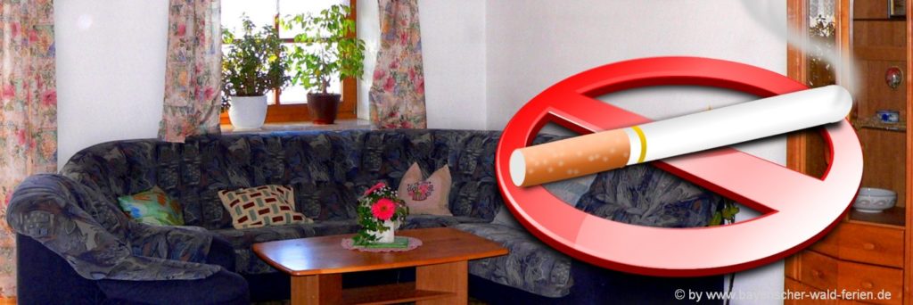 Tipps Rauchen abgewöhnen Nikotinbeutel für Anfänger in Deutschland kaufen
