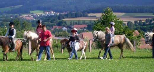 nissl-ponyhof-bayern-kinderreiterferien-oberpfalz-ponyreiten