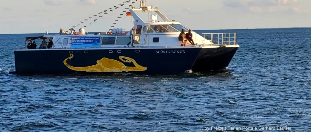 Sportboot fahren mit dem BSF Binnen Voraussetzungen Sportbootführerschein Prüfung