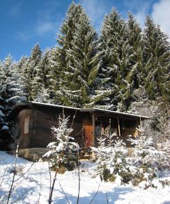 Winter Hütte Silvester Ferienhaus mit Kamin