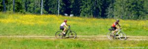 radfahren-bayerischer-wald-mountainbike-radurlaub-niederbayern-oberpfalz