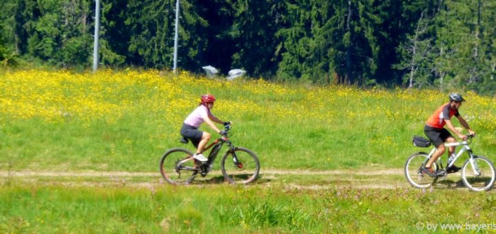 radfahren-bayerischer-wald-mountainbike-radurlaub-niederbayern-oberpfalz