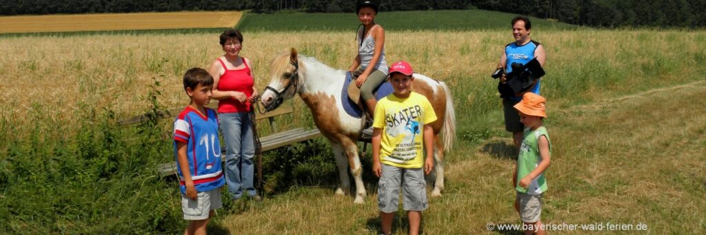 Reiterferien Bayerischer Wald Reiturlaub in Ostbayern am Ferienhof mit Ponys