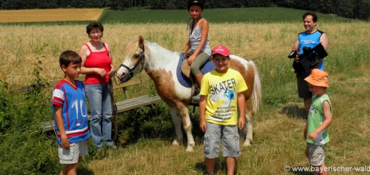 Reiterferien Bayerischer Wald Peiturlaub in Bayern Ponyreiten