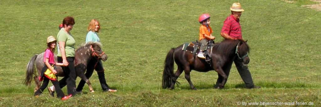 Ponyreiten am Bauernhof mit Pferden in Bayern