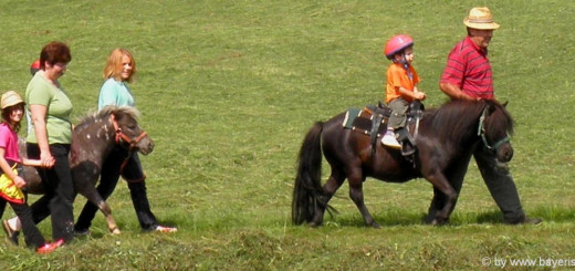 reiterferien-bayerischer-wald-reiturlaub-ponyhof-reiterhof