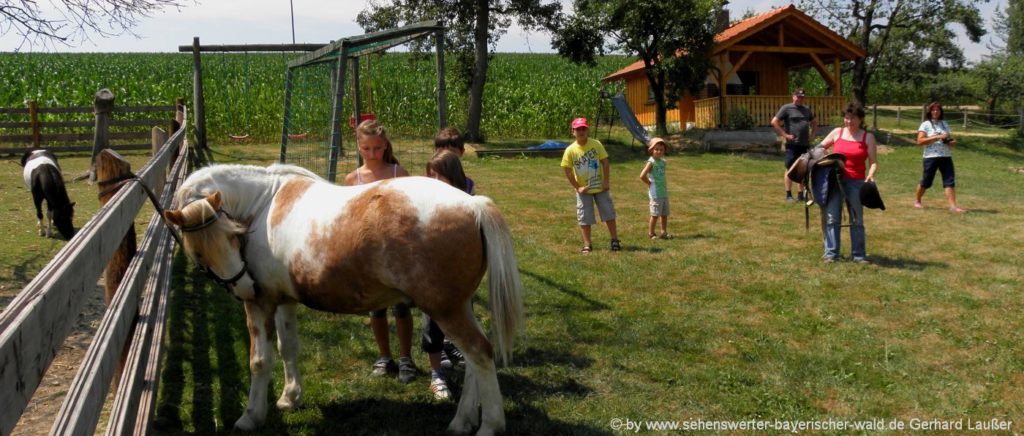 reiturlaub-am-land-unterkunft-zum-reiten-oberpfalz-ponyreiten-niederbayern