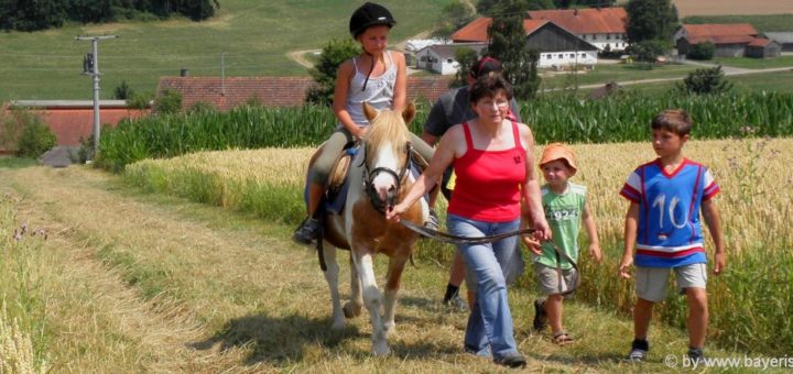 reiturlaub-bayerischer-wald-kinder-ponyreiten-bayern