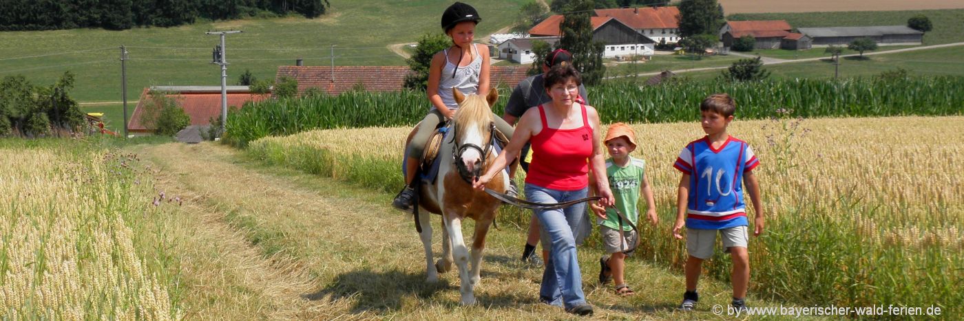 reiturlaub-bayerischer-wald-kinder-ponyreiten-bayern