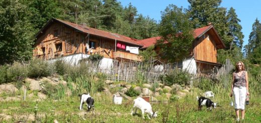 richard-bayerischer-wald-almhütten-bayern-ferienhütten-mieten-