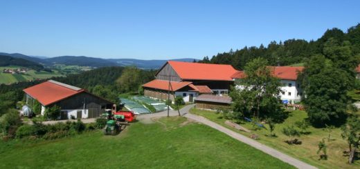 schätzl-bauernhofurlaub-waldkirchen-ferienhaus Bayerischer Wald