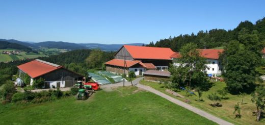 schätzl-bauernhofurlaub-waldkirchen-ferienhaus Bayerischer Wald