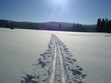 scherm-biohof-kirchberg-im-wald-winterurlaub-skifahren-langlauf-loipe