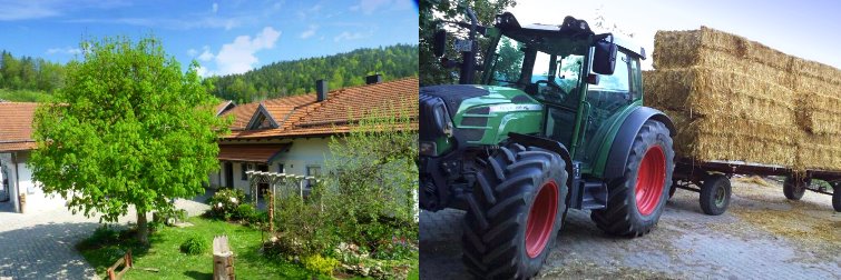 Bauernhof Scheßl die Bayerischer Wald Ferienunterkunft in Niederbayern