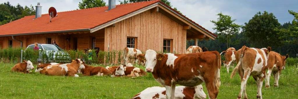 Bauernhofurlaub bei Regensburg Familienferien in der Oberpfalz